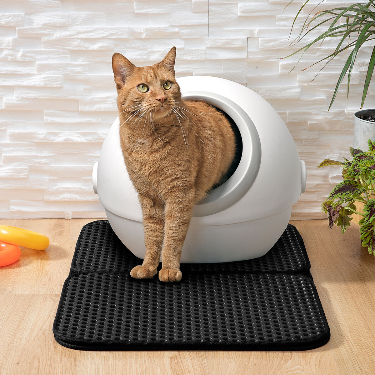 Alfombra para Arenero de Gatos Clikatt