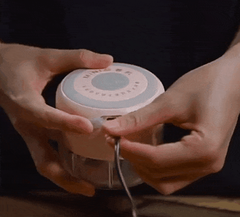 PICADORA DE ALIMENTOS PORTÁTIL - POWER CRUSHER™